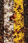 Autunno di strada Autunno di strada