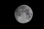 Luna Luna