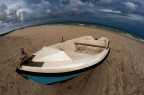 Little Boat Little Boat