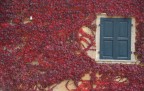 Nel rosso Nel rosso