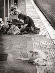 Francamente avrei stretto sul soggetto, ma sarebbe stata la solita scena da strada...la curiosa postura del cane dormiente l'ha resa forse pi� interessante e ci� mi ha convinto postarla.
Tagliato il frame a met� si formano due foto a se stanti.. la foto sembra formata dall'unione di due figure, prima incontri l'una poi l'altra..
un saluto
Paolo