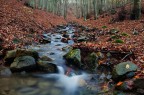 Rosso Autunnale Rosso Autunnale