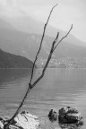 lago di Molveno lago di Molveno