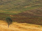 Toscana Toscana