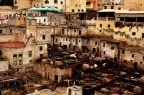 Concia delle pelli Concia delle pelli