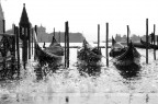 Acqua Alta Acqua Alta
