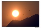 volare verso il sole volare verso il sole