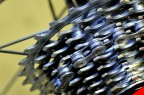 Stainless steel teeth Stainless steel teeth