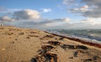 Una giornata d'inverno al mare. Una giornata d'inverno al mare.