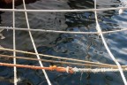 Intrecci di corde in mare... Intrecci di corde in mare...