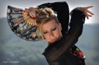 Flamenco Flamenco