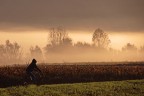 Campagne con bici