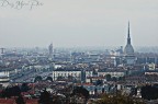 torino