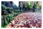morbido tappeto autunnale morbido tappeto autunnale