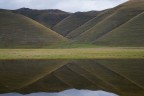 MIRROR MIRROR