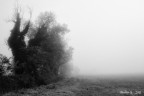 ottobre ottobre