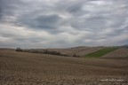 orciano paesaggio 3 orciano paesaggio 3