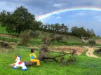 looking at the rainbow looking at the rainbow