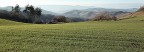 Prato verde d'inverno Prato verde d'inverno