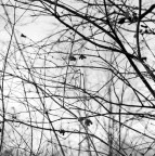 Hasselblad 500 c/m 
Distagon 50 f11 
Kodak Tmax400 
HC-110 - 5,30 min - 24�C