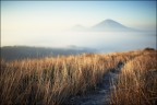 Colli Euganei. Nebbia in pianura. Colli Euganei. Nebbia in pianura.
