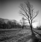 Hasselblad 500 c/m 
Distagon 50 f11 
Kodak Tmax400 
HC-110 - 5,30 min - 24�C