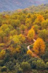 Ultimi colori d'Autunno