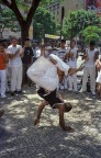 Capoeira 
Belo Horizonte, Minas Gerais, nei pressi di Pampulha.