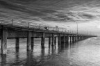 Pontile Pontile