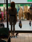 L'appuntamento L'appuntamento