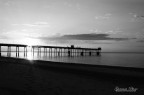 Pontile Pontile