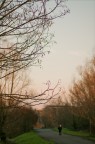 Solitudine Invernale Solitudine Invernale