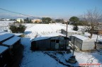 Campagna pisana innevata