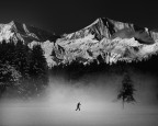 The skier The skier
