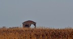 Sacca di Scardovari Delta del Po (RO) Sacca di Scardovari Delta del Po (RO)