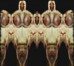 di fronte.... di spalle