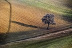 _Y2B1189 _Y2B1189
