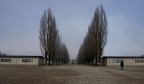 dachau 6
