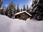 La casa La casa