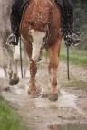 Giocando... Giocando...