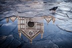 Firenze riflessa3 Firenze riflessa3