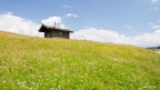 Rodenecker Alm - Alpe di Rodengo (BZ) #2 Rodenecker Alm - Alpe di Rodengo (BZ) #2