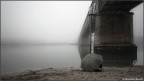 Silenzio Silenzio