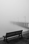 waiting in a foggy day waiting in a foggy day