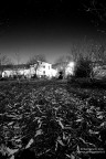 Letto di foglie Letto di foglie