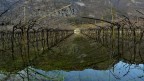 Riflessi negativi