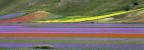 COLOURS COLOURS