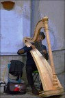 Il musicista Il musicista