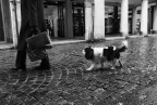 street photography #16# street photography #16#