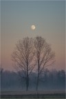 Gli amanti e la luna... Gli amanti e la luna...